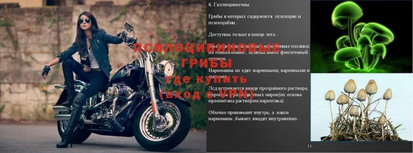 марки nbome Верея