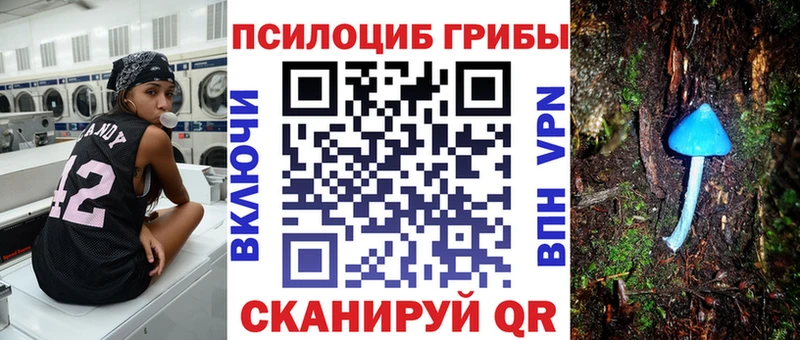 kraken как зайти  Клин  Псилоцибиновые грибы мухоморы  как найти закладки 
